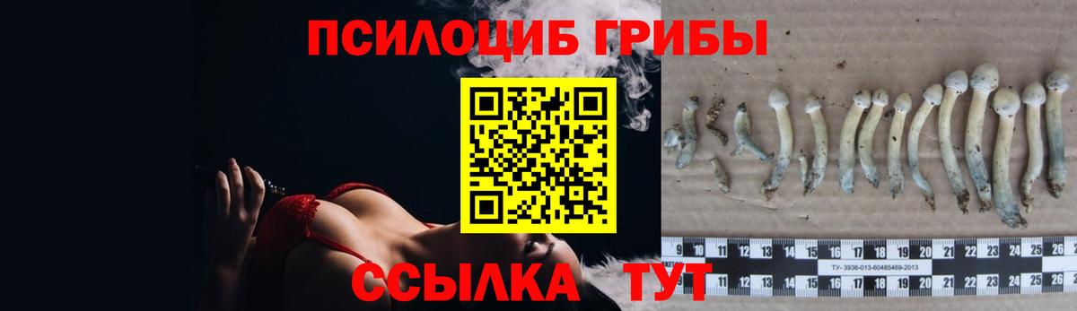 Галлюциногенные грибы ЛСД  Вход с VPN  Солнечногорск 